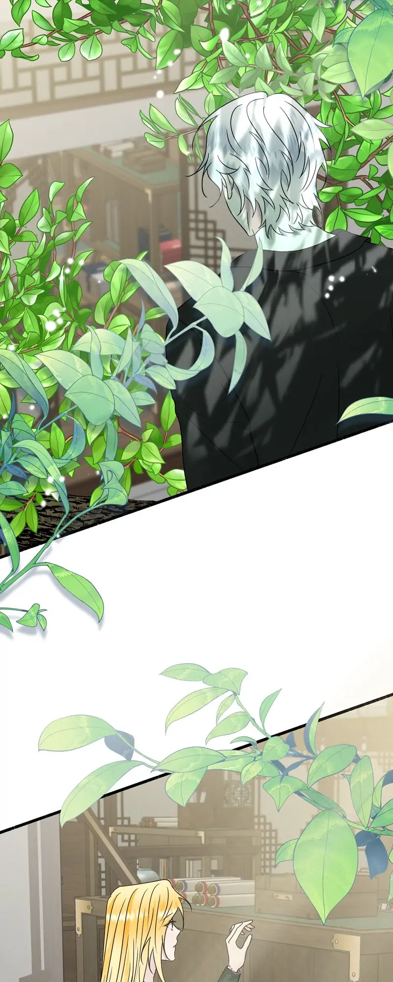 37850156 800 2000 126260